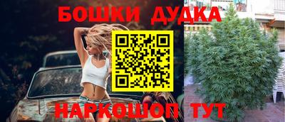 сатива Донской